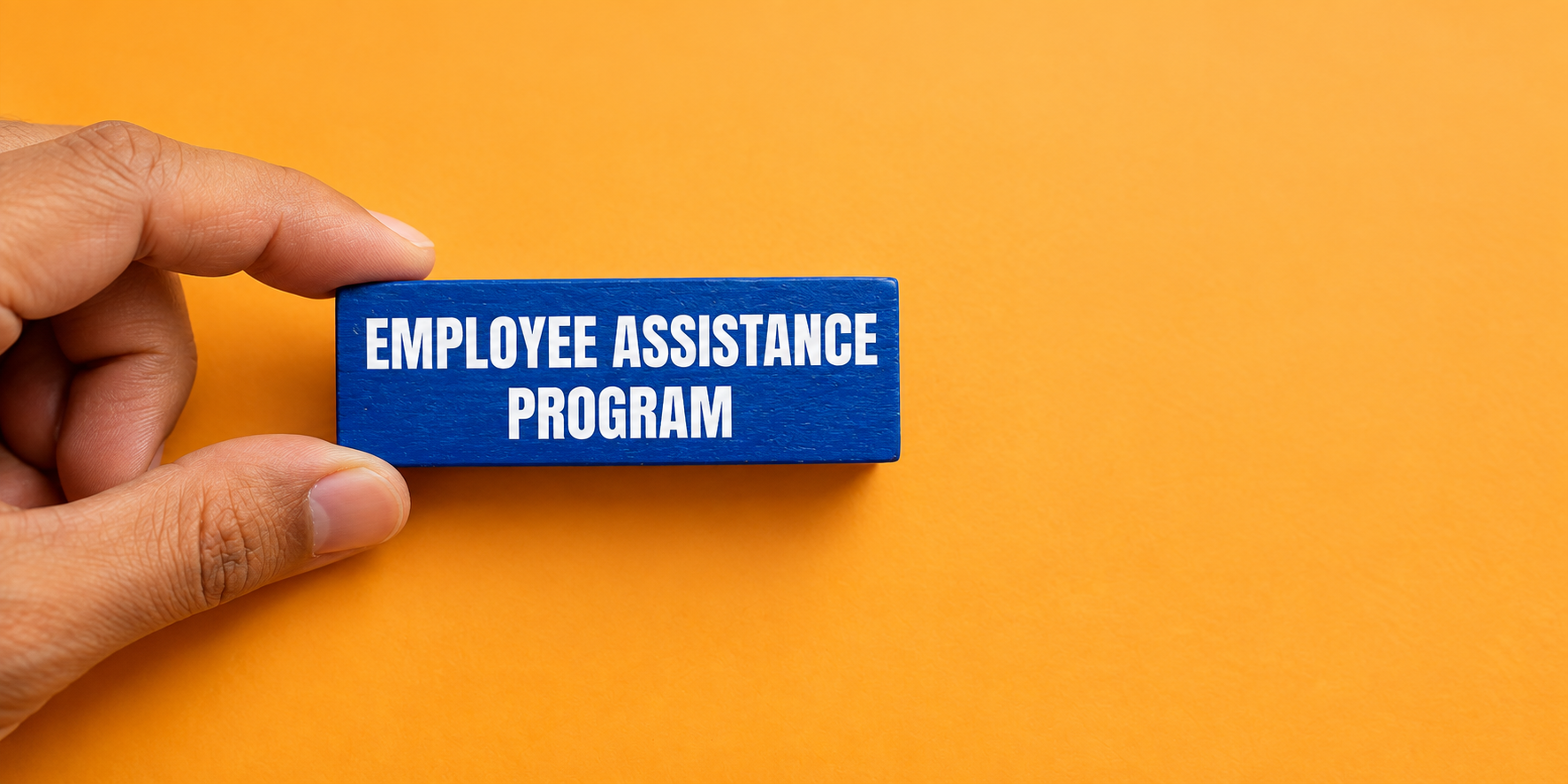 What Should Companies Look for When Choosing an Employee Assistance Programme?